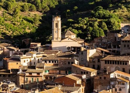 Priorat Wine Tour
