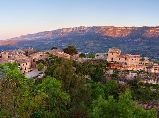 Priorat Wine Tour