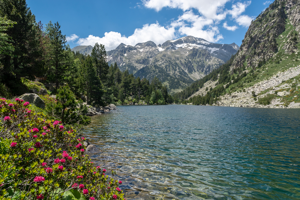 Aigüestortes National Park