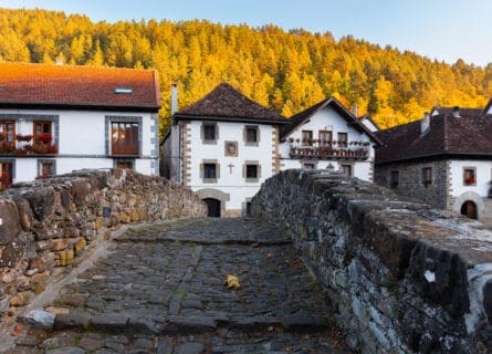 pyrenees - ochagavia