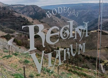Bodegas Regina Viarum has embraced wine tourism