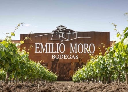 Emilio Moro winery