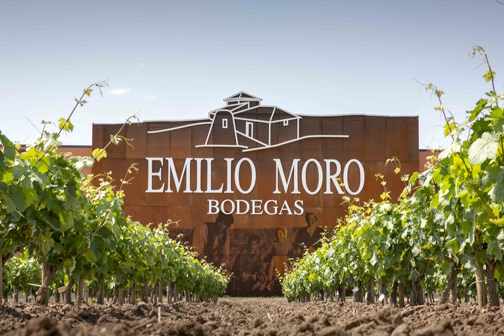 Emilio Moro winery