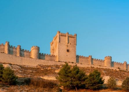 Ribera del Duero Wine Tour
