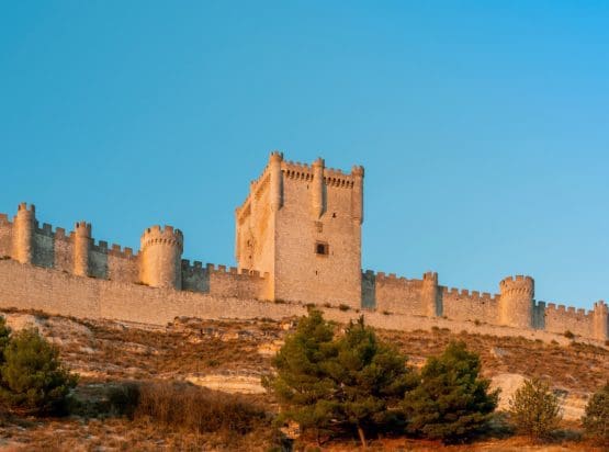 Ribera del Duero Wine Tour
