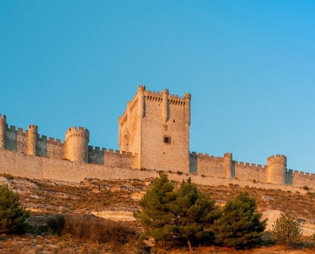 Private Wine Tours in Ribera del Duero