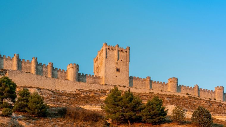 Private Wine Tour in Ribera del Duero