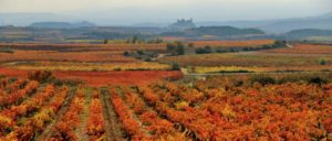 rioja-alavesa photo rioja-alavesa - rioja-alavesa-wine-region