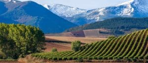 rioja-alta photo rioja-alta - rioja-alta-wine-region-1