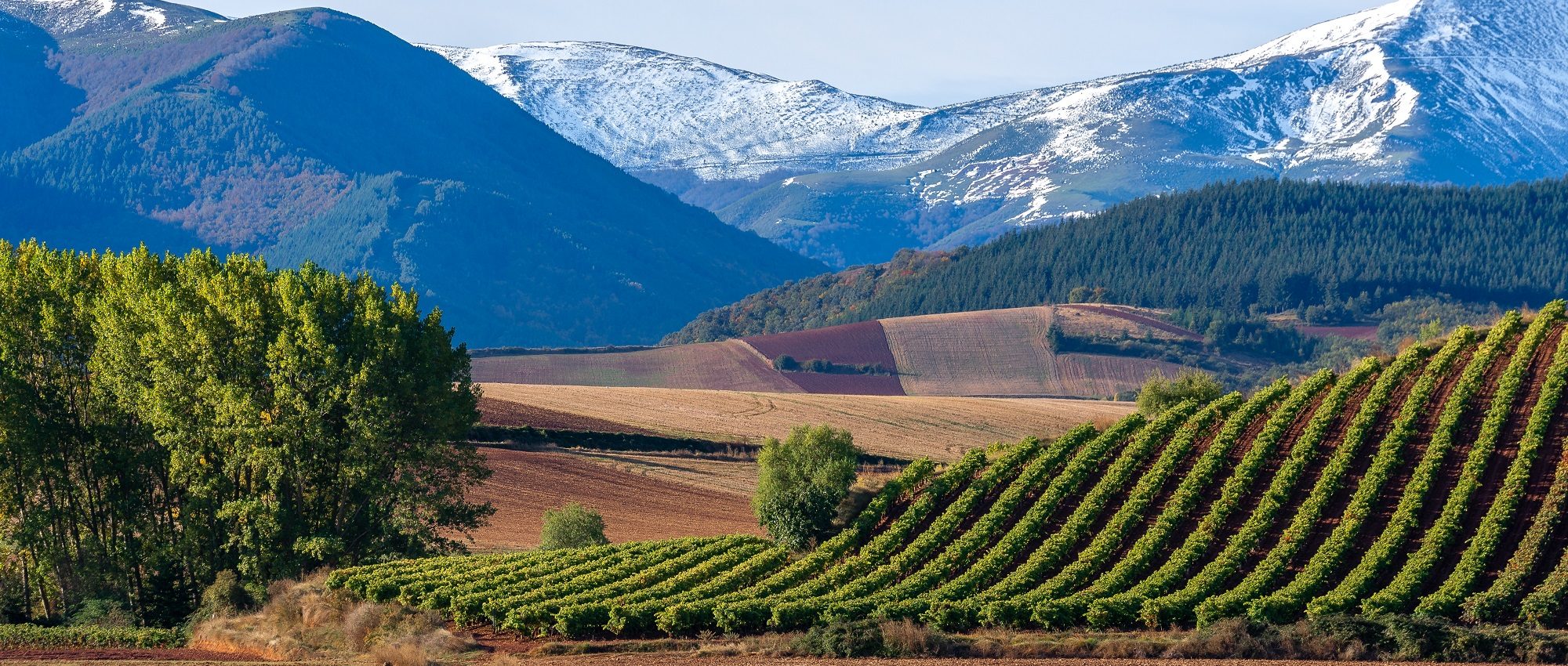 wine tours in la rioja