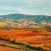 wine tourism rioja