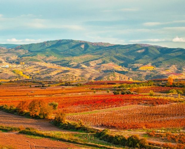 Rioja Oriental Wine Region Guide