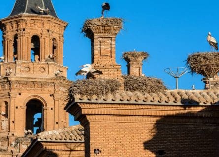 San Miguel Collegiate Church, Alfaro