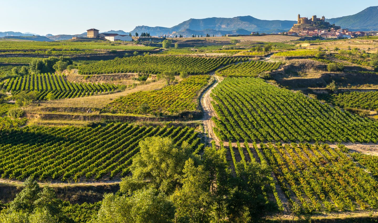 Rioja Wine Country