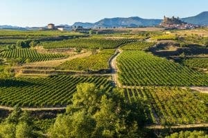 Rioja wine country Rioja wine country