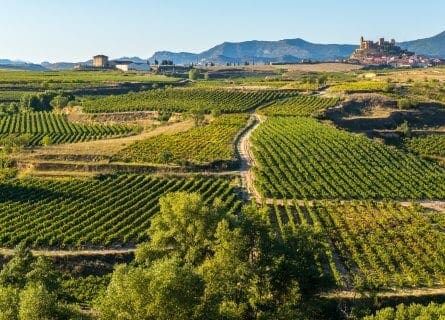 Rioja Wine Country