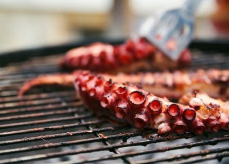 Grilled octopus (pulpo)