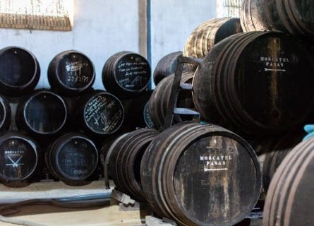 Dark oak Sherry barrels