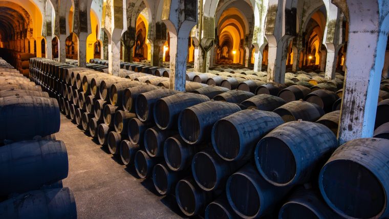 Private Sherry Wine Tour from Seville