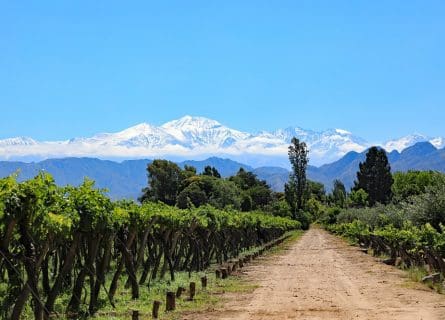 somontano - pyrenees snow capped