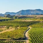 Spain Food & Wine Tour