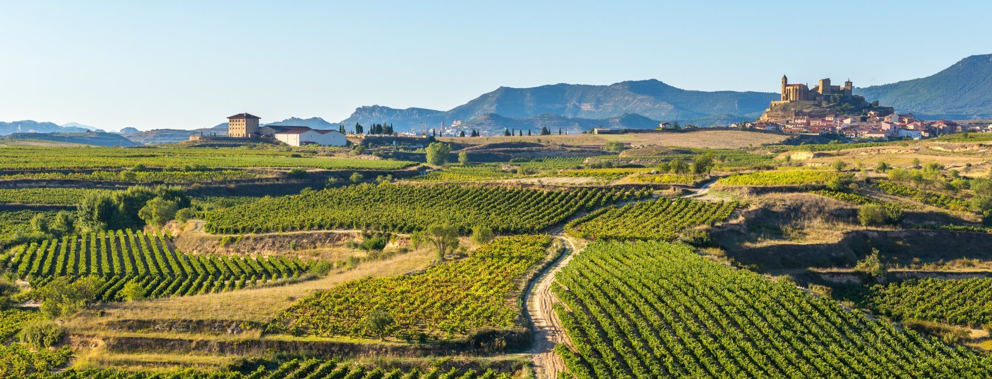 wine tours southern spain