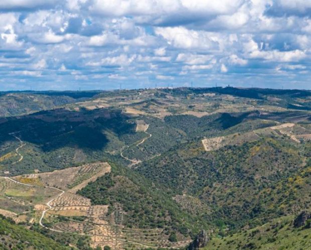 Arribes Wine Region Guide
