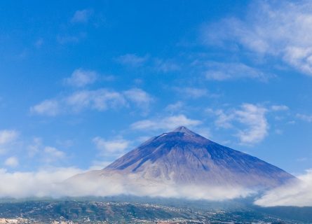 canary islands wine regions