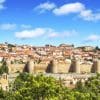 Castilla y Leon Wine Regions Guide