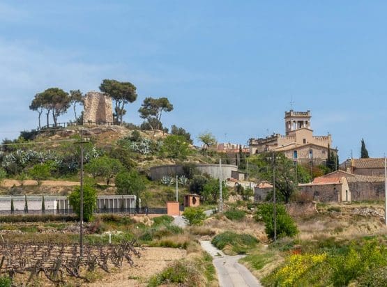 codorniu winery tour barcelona