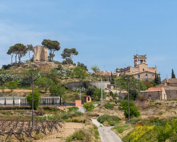 Cava Wine Region Guide