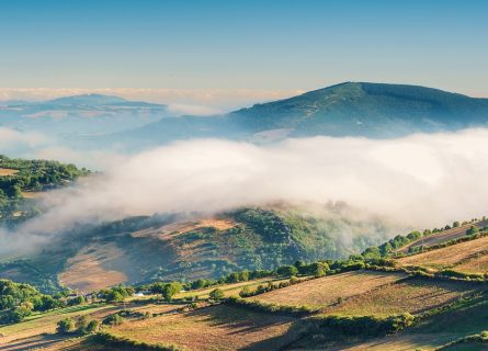 galicia wine regions