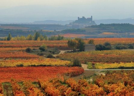 la-rioja-wine-region