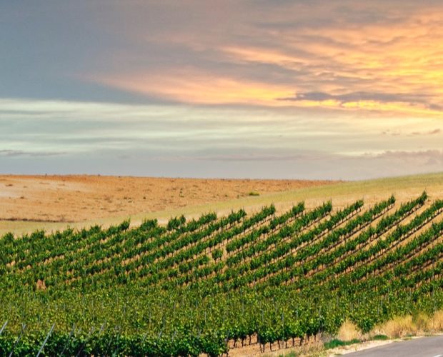 León Wine Region Guide