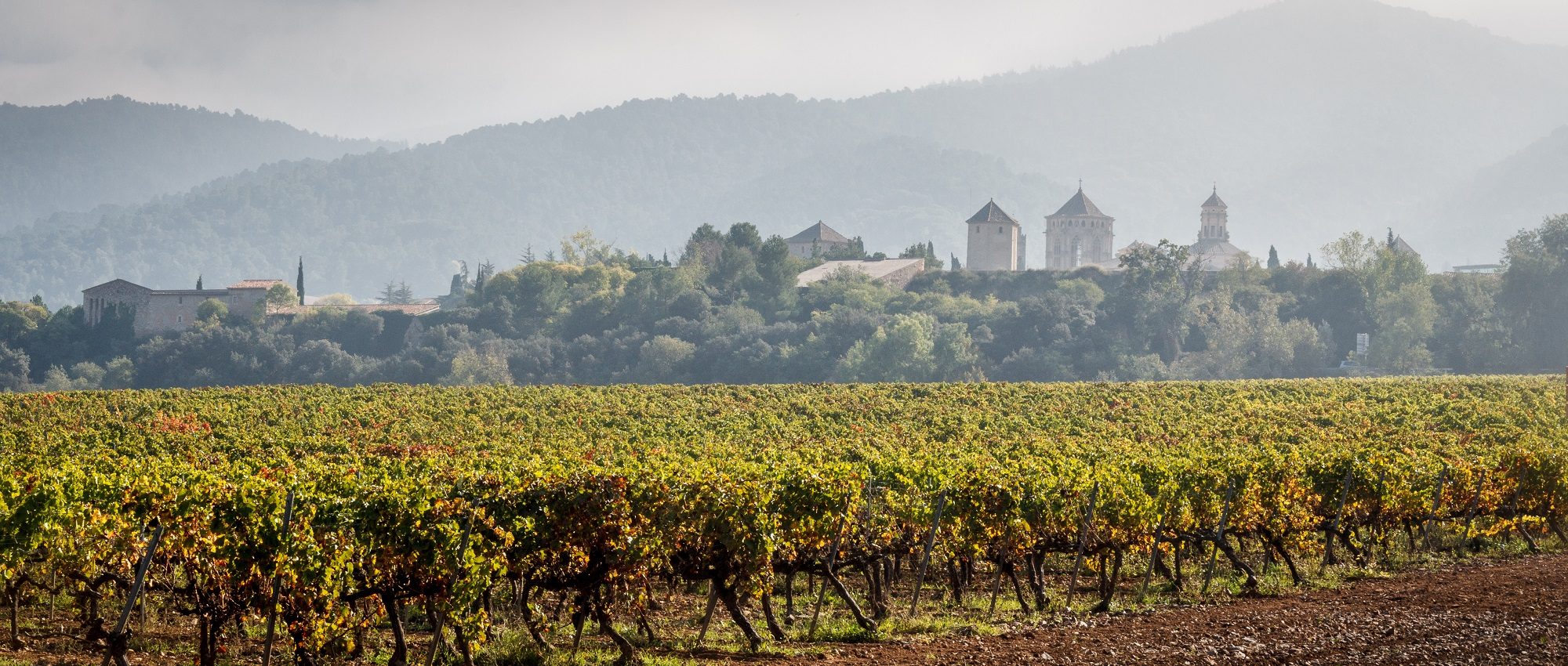 Montsant » Spanish Wine Region » CellarTours