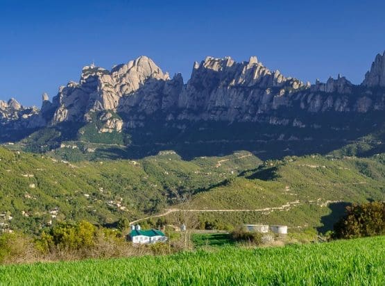 Pla de Bages Wine Region Guide