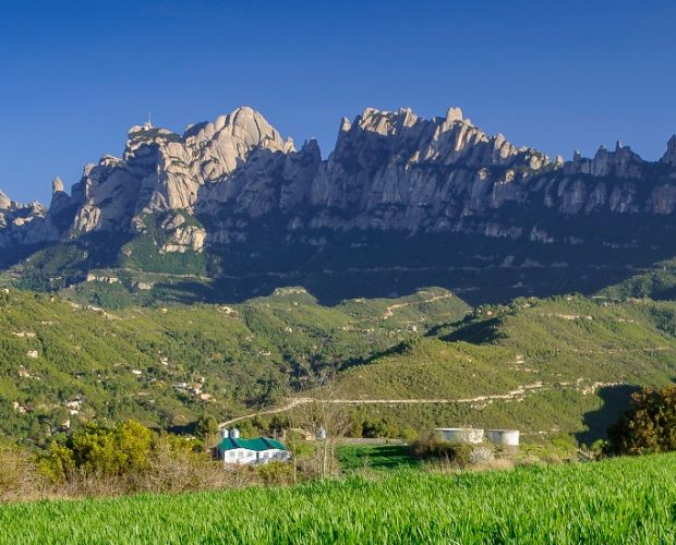 Pla de Bages Wine Region Guide