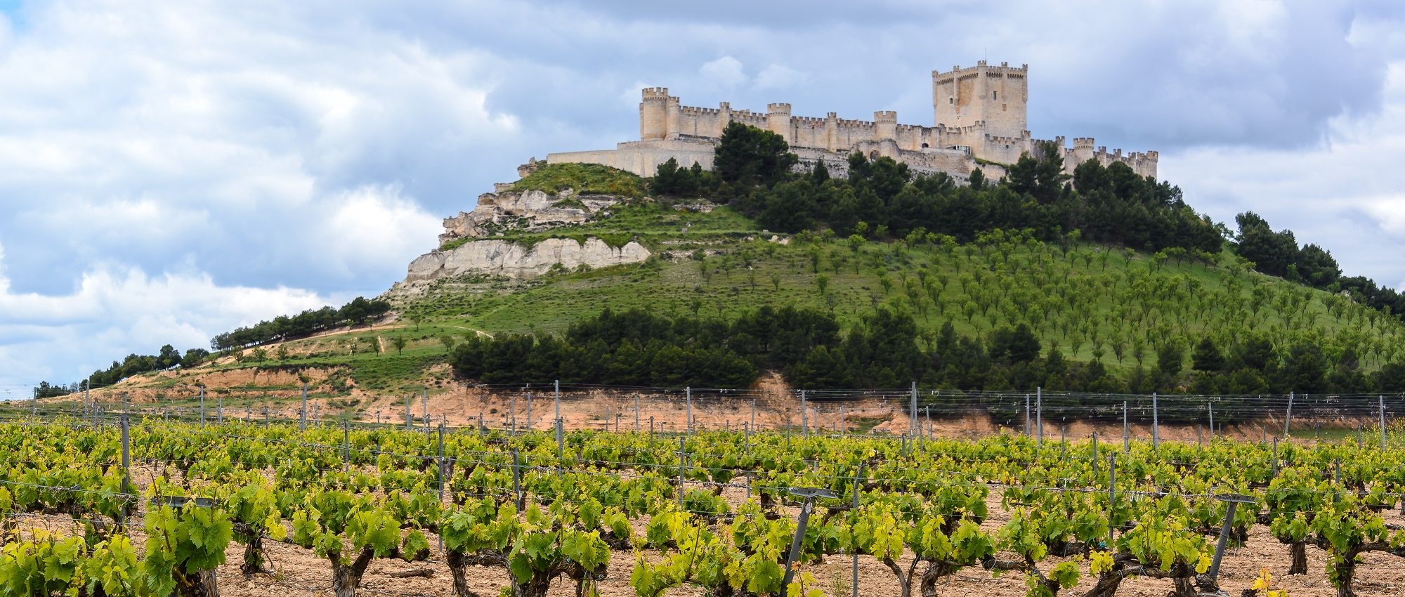 Ribera Del Duero » Spanish Wine Region » CellarTours