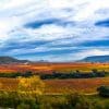 wine tourism rioja