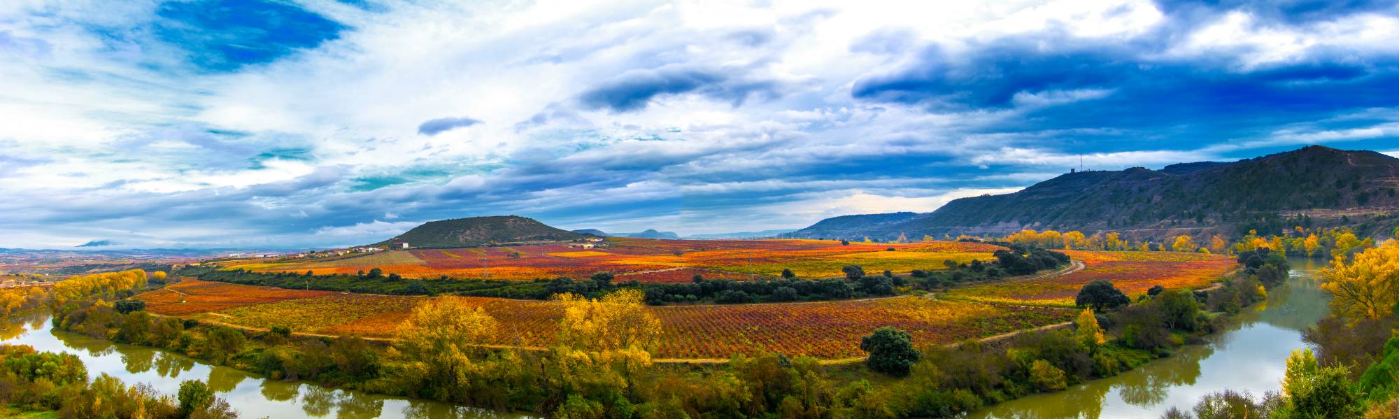 rioja alavesa wine region