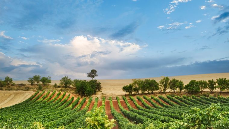 spain wine regions