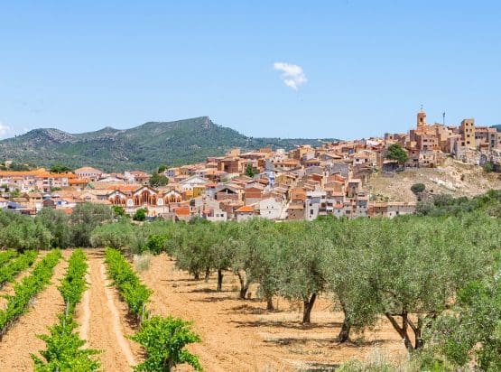 Terra Alta Wine Region Guide