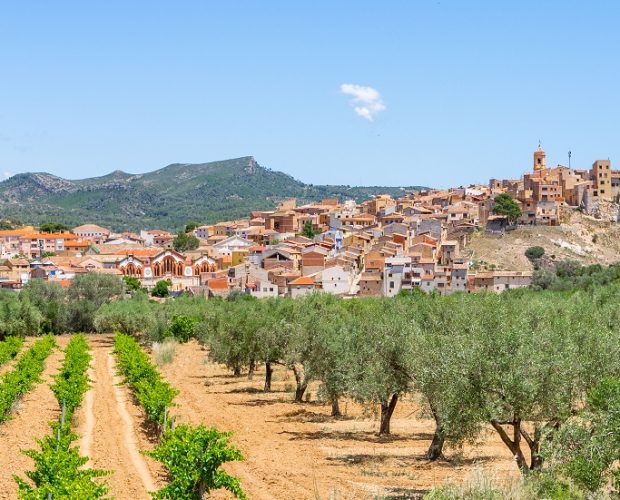 Terra Alta Wine Region Guide