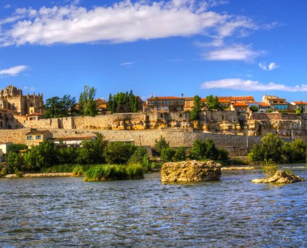 Toro Wine Region Guide