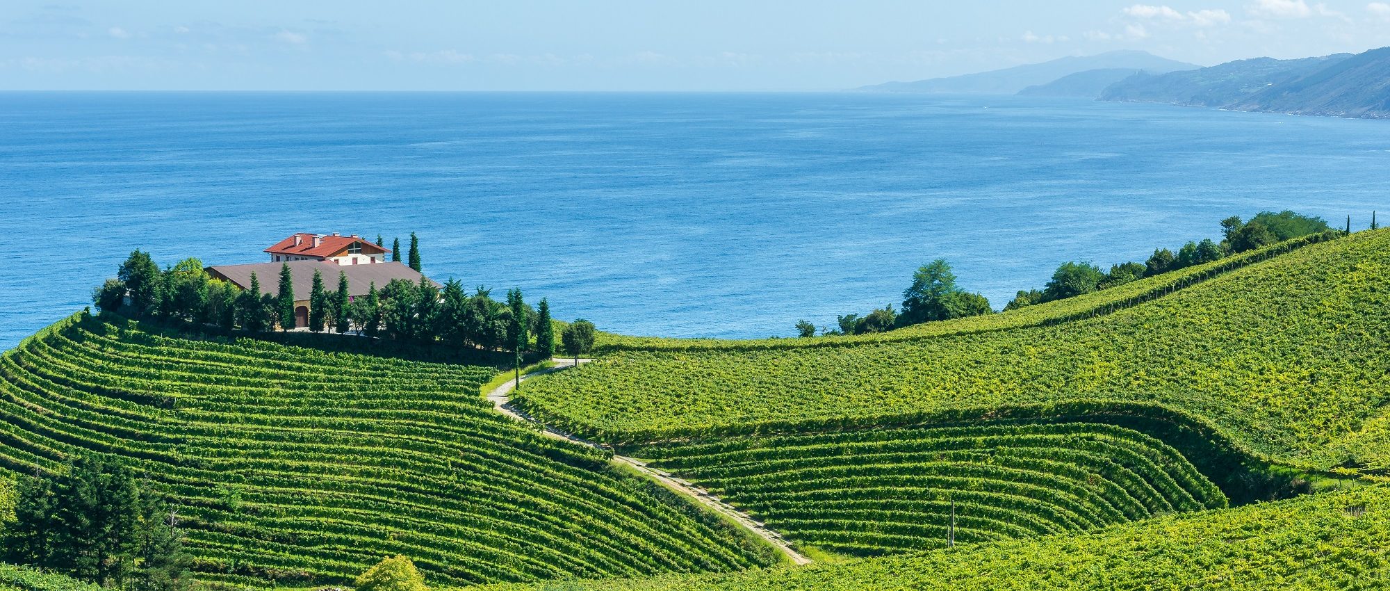 sparkling wine maps sparkling wine maps
