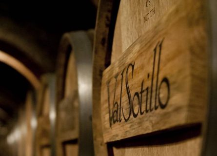 Ismael arroyo winery