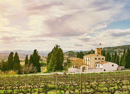 albet i noya winery