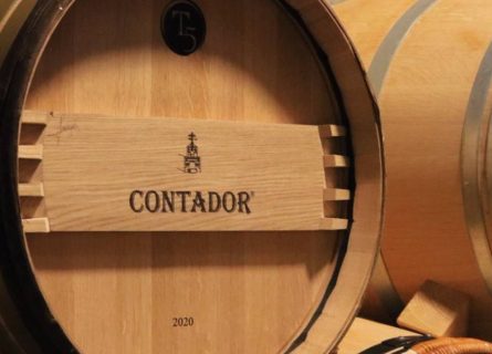 bodega contador winery