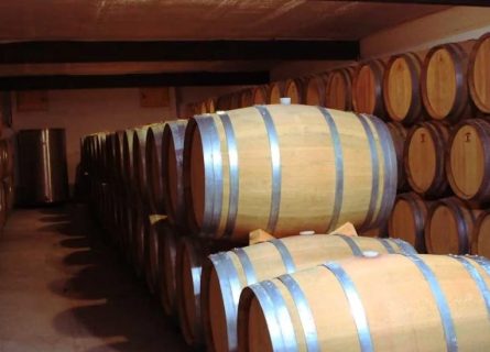 celler capafons osso