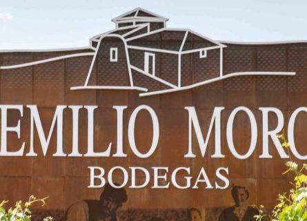 emilio moro winery